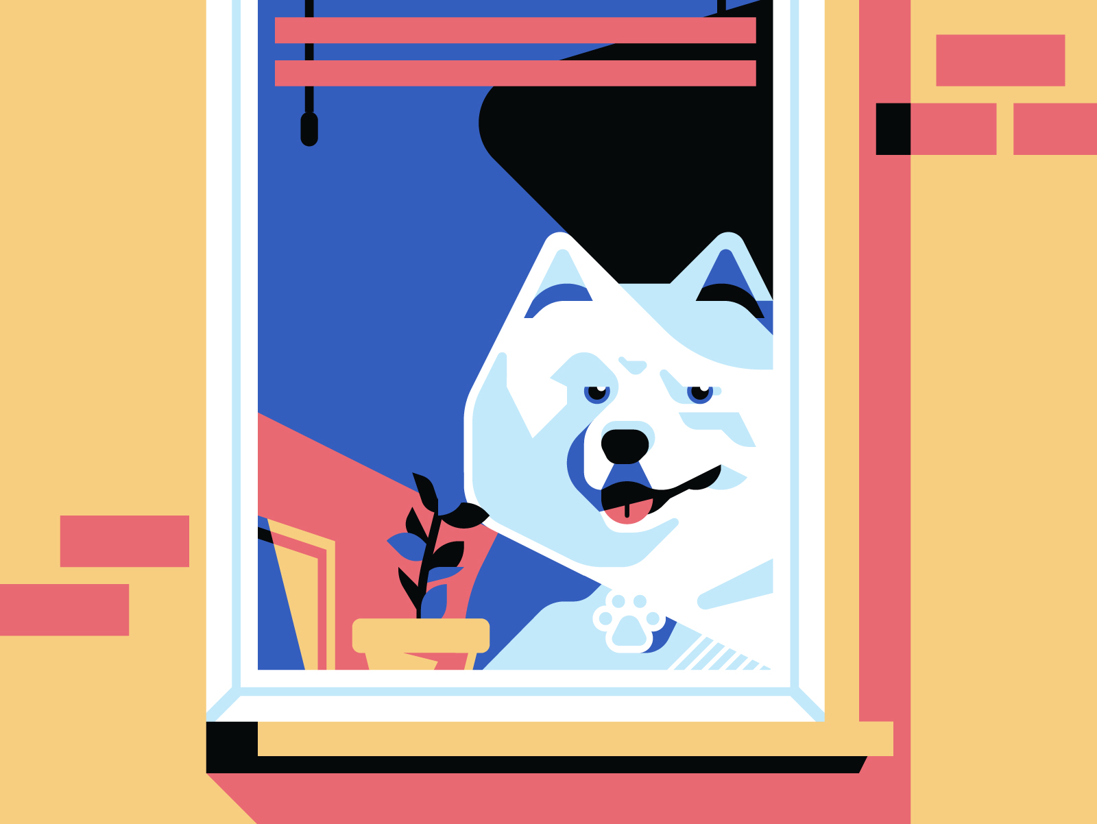 dogs_on_windows2_dr