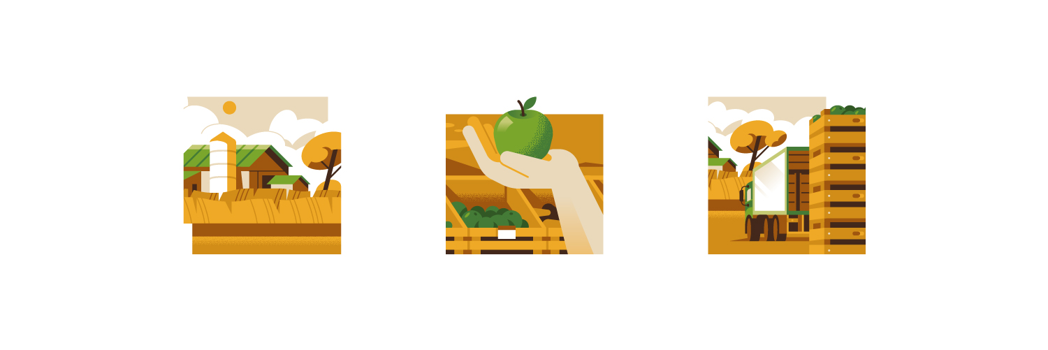 DM_Be_Fao_SDG12b